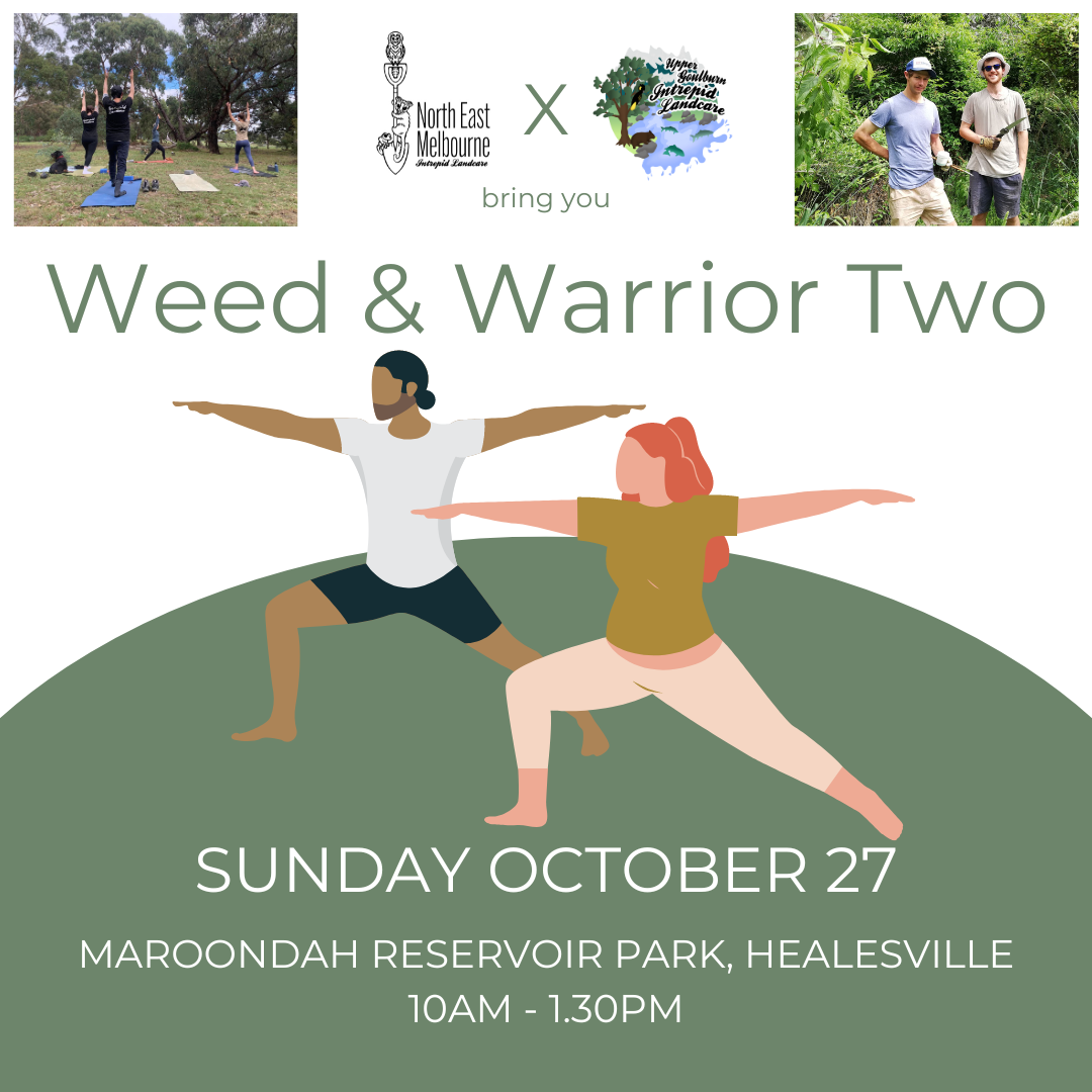 Weed & Warrior Two